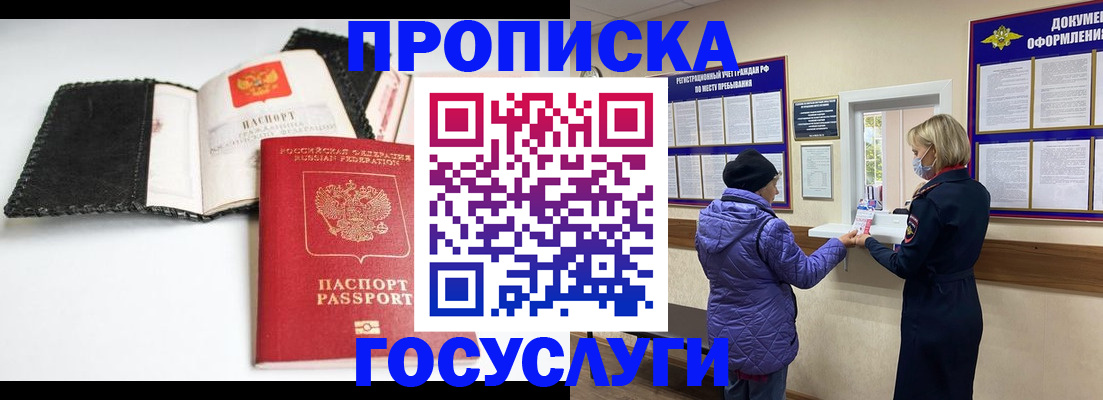 прописка штамп в Сольцах