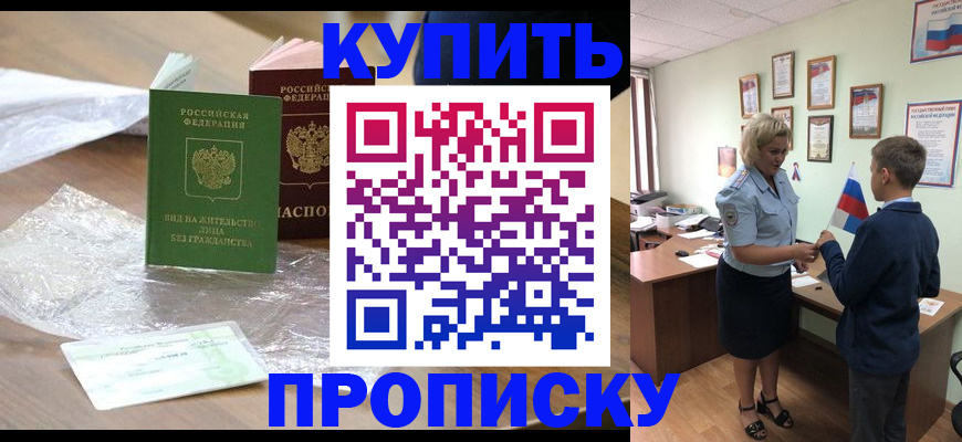 прописка для работы в Сольцах